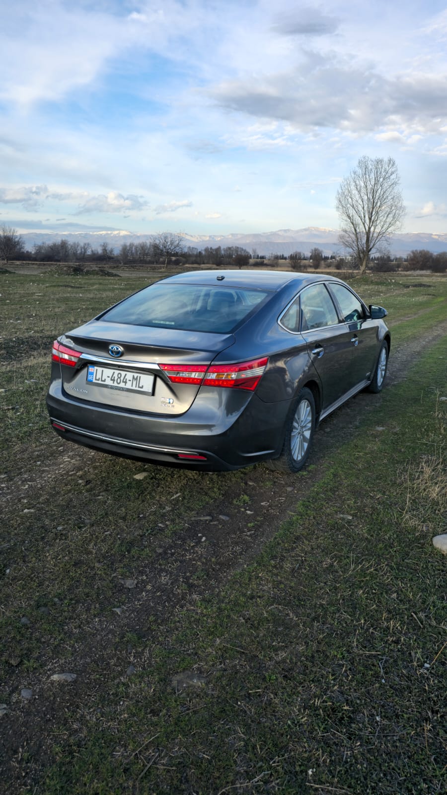 Toyota Avalon